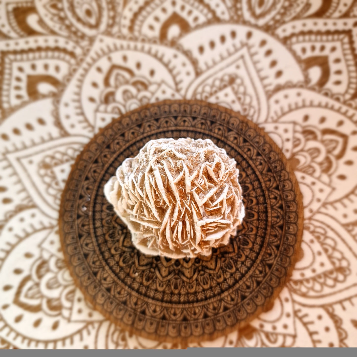 Rosa del Desierto Blanca ~ Pensamiento Positivo