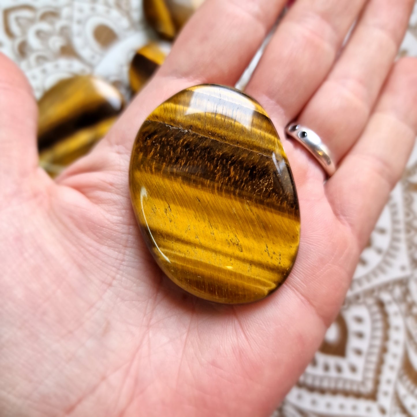 Rodado Plano Ojo de Tigre~ Fuerza y Protección