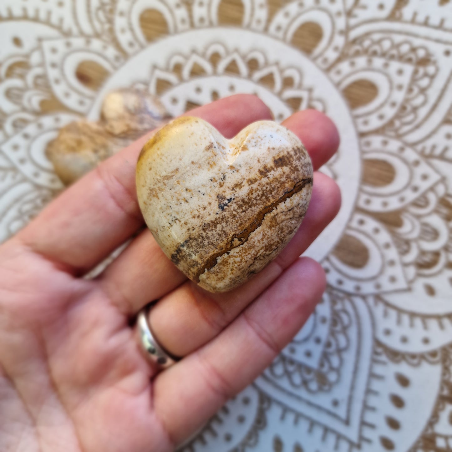 Corazón de Jaspe Paisina ~ Estabilidad y Conexión con la Tierra