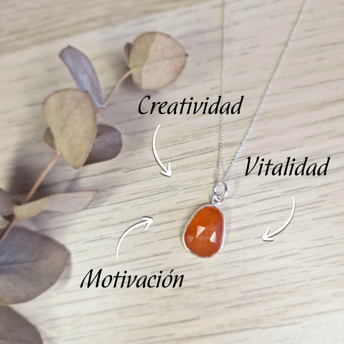 Colgante de Carneola Facetado y Plata de Ley ~ Motivación y Creatividad