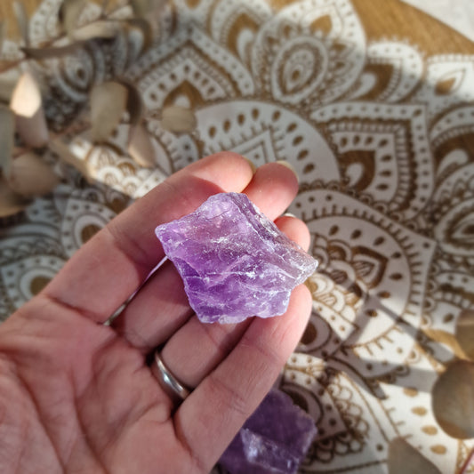 Masivo de Amatista ~ Calma mental y claridad interior