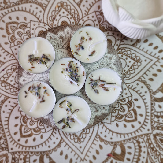 Velas de soja de Lavanda ~ Paz y descanso