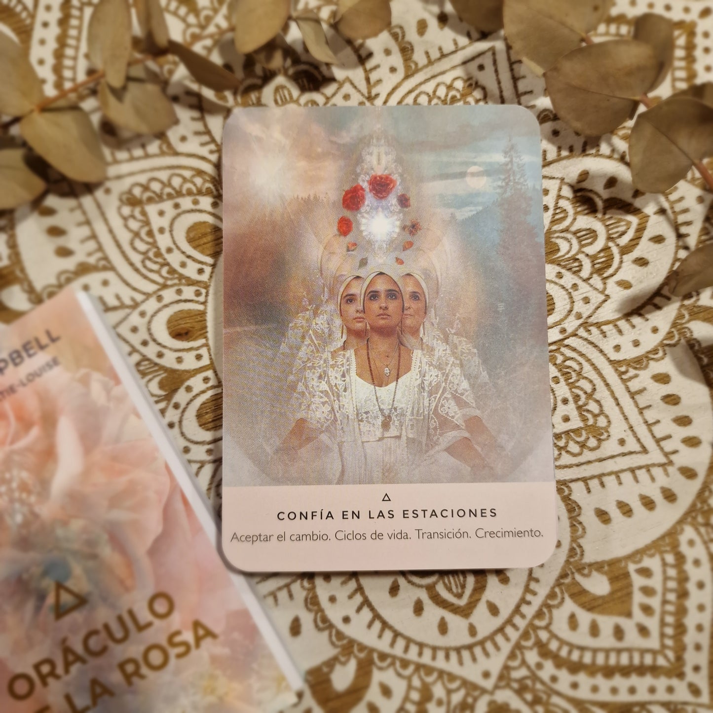 Oráculo de la Rosa ~ Mensajes de amor, sanación y guía espiritual