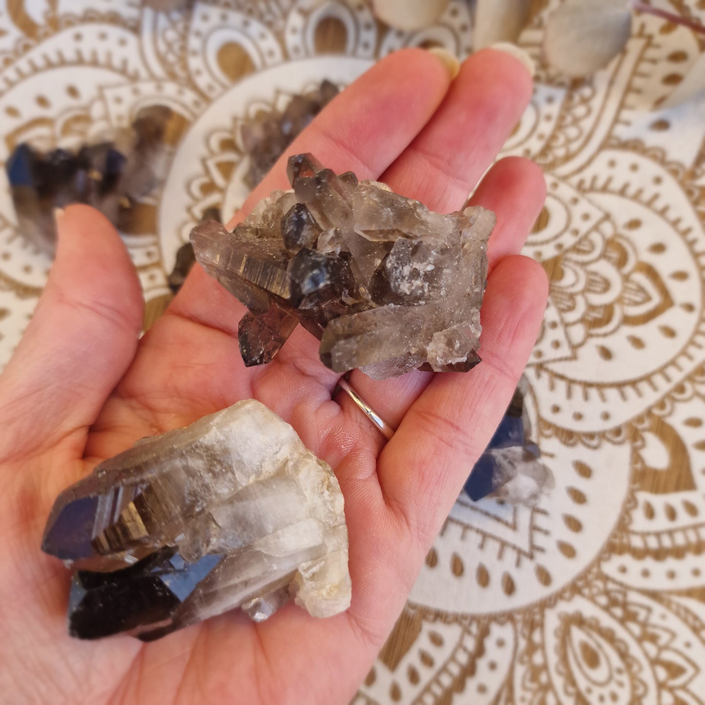 Drusa de Cuarzo Ahumado ~ Protección y Enraizamiento