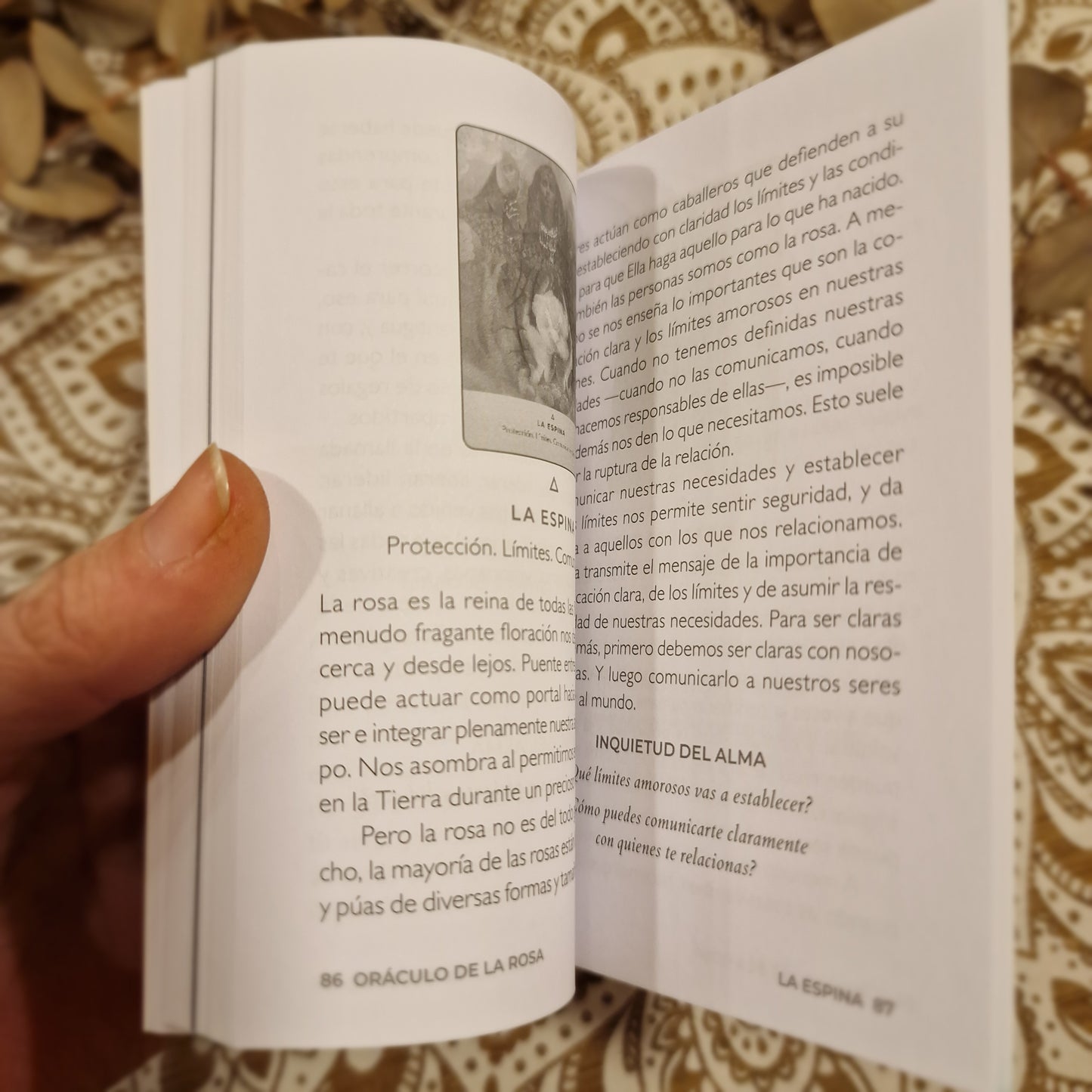 Oráculo de la Rosa ~ Mensajes de amor, sanación y guía espiritual