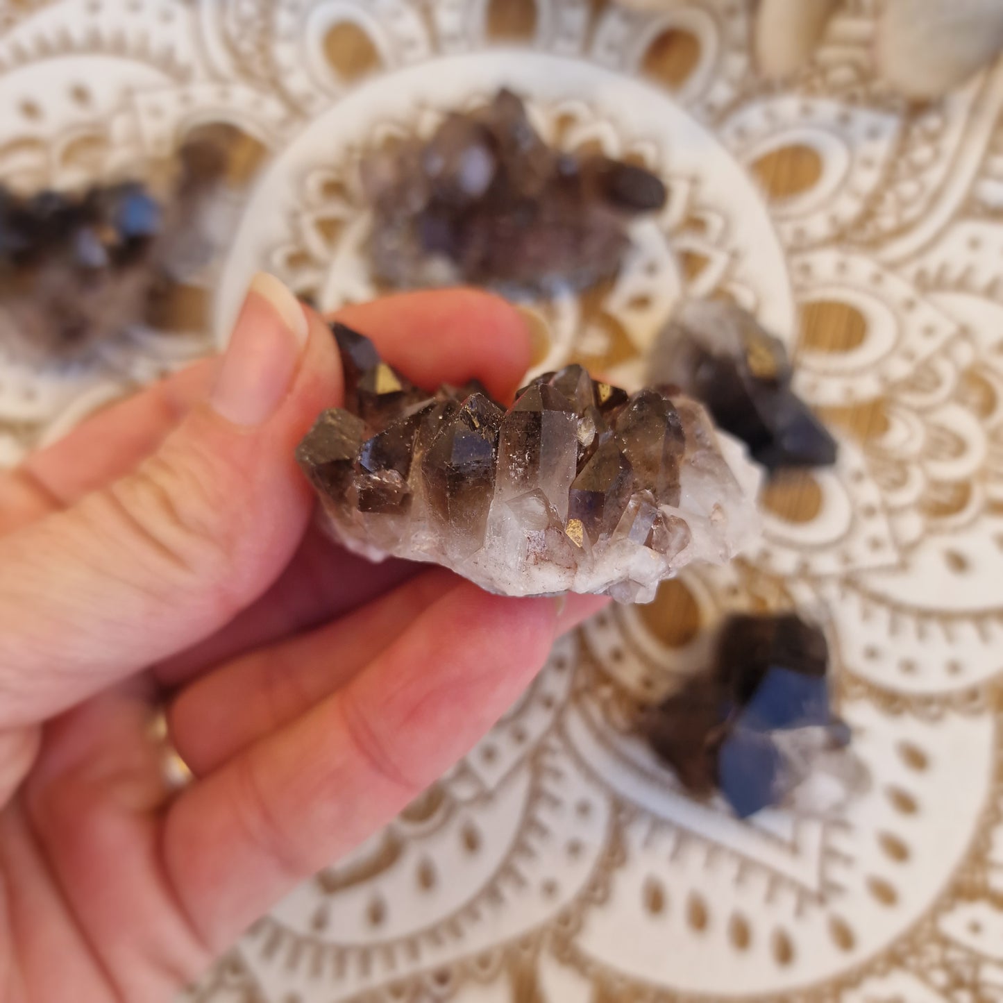 Drusa de Cuarzo Ahumado ~ Protección y Enraizamiento