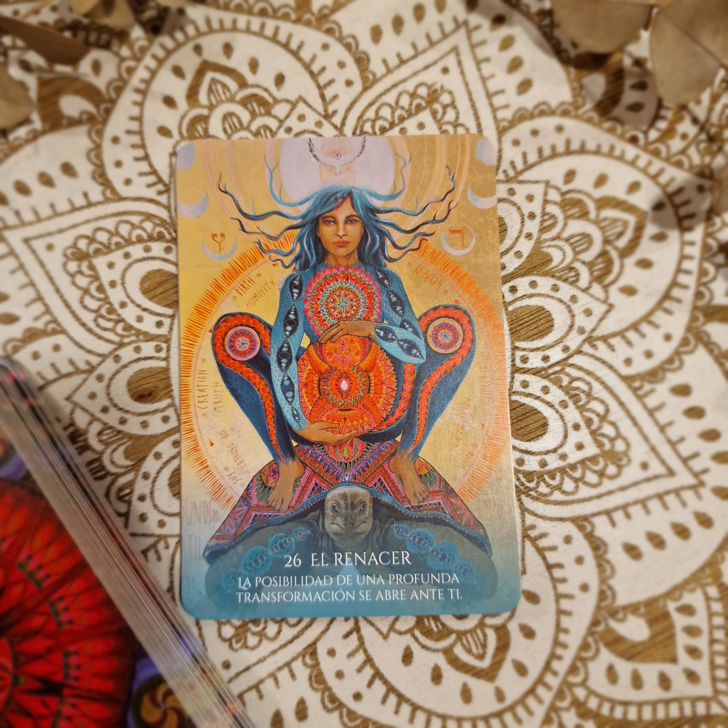 Oráculo “La Mujer Medicina” ~ Sabiduría ancestral para escuchar tu voz interior