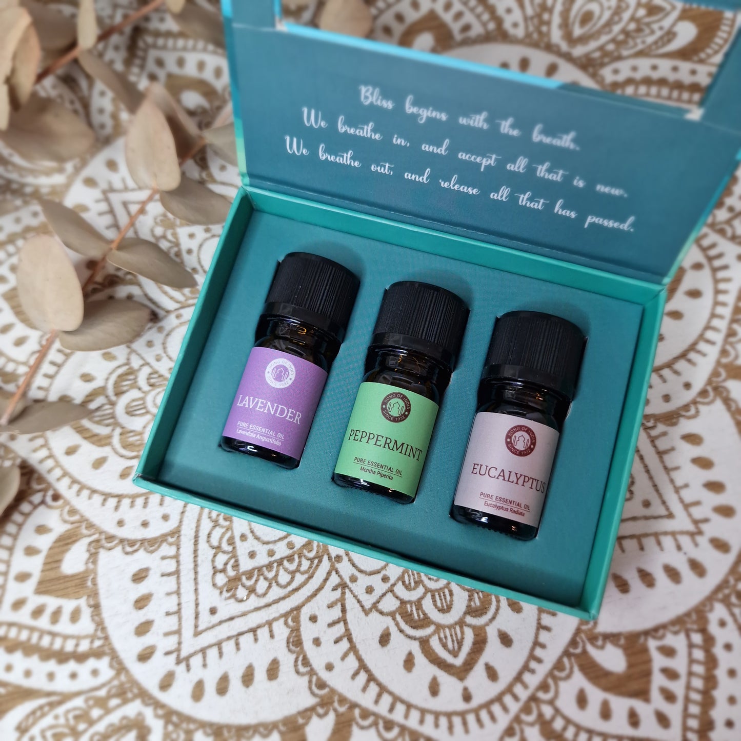 Set de Aceites Esenciales Breathe ~ Respirar y Renovar