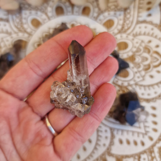 Drusa de Cuarzo Ahumado ~ Protección y Enraizamiento