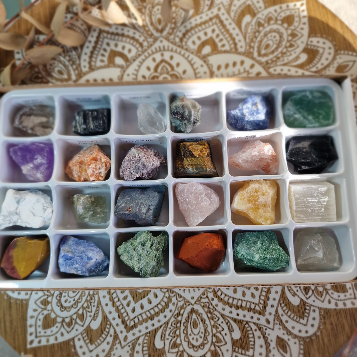 Caja de 24 piedras masivas ~ Colección de minerales naturales