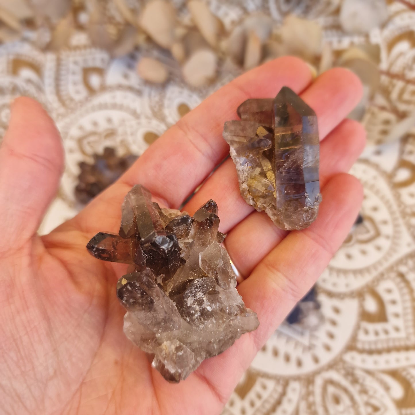 Drusa de Cuarzo Ahumado ~ Protección y Enraizamiento