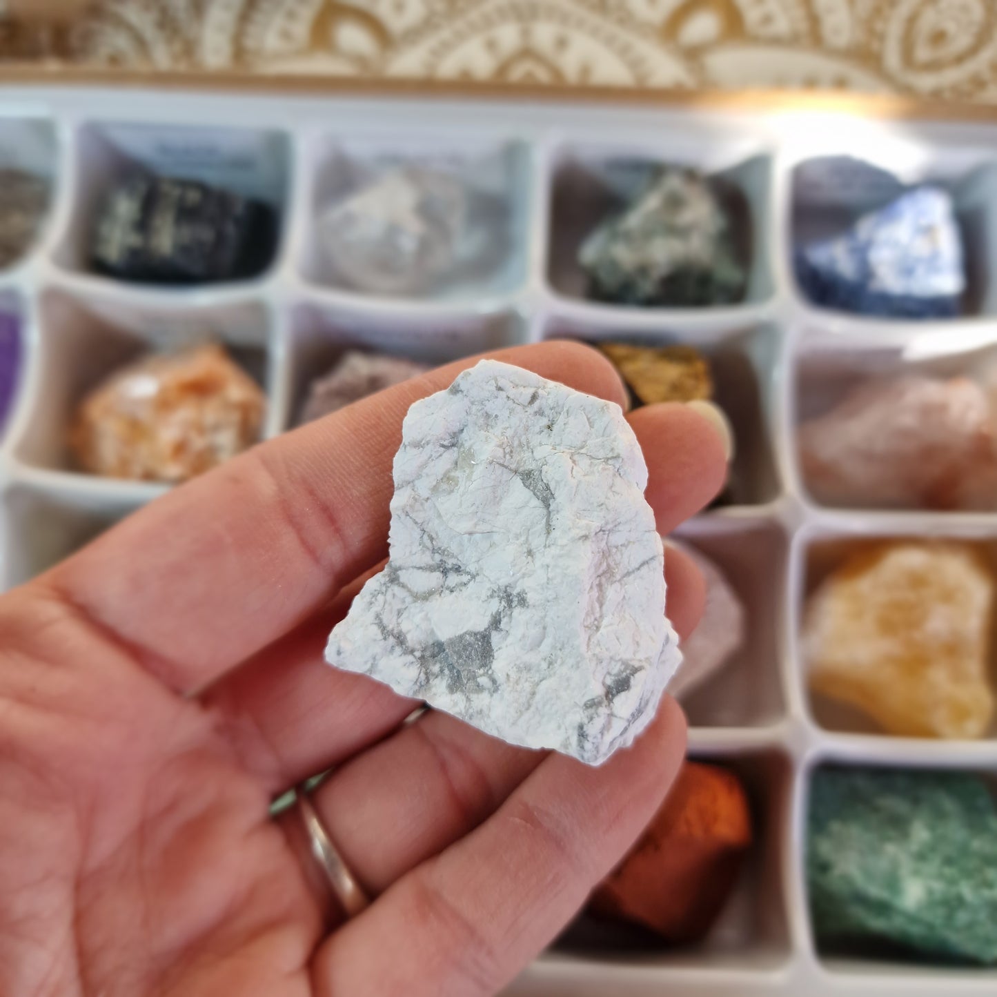 Caja de 24 piedras masivas ~ Colección de minerales naturales