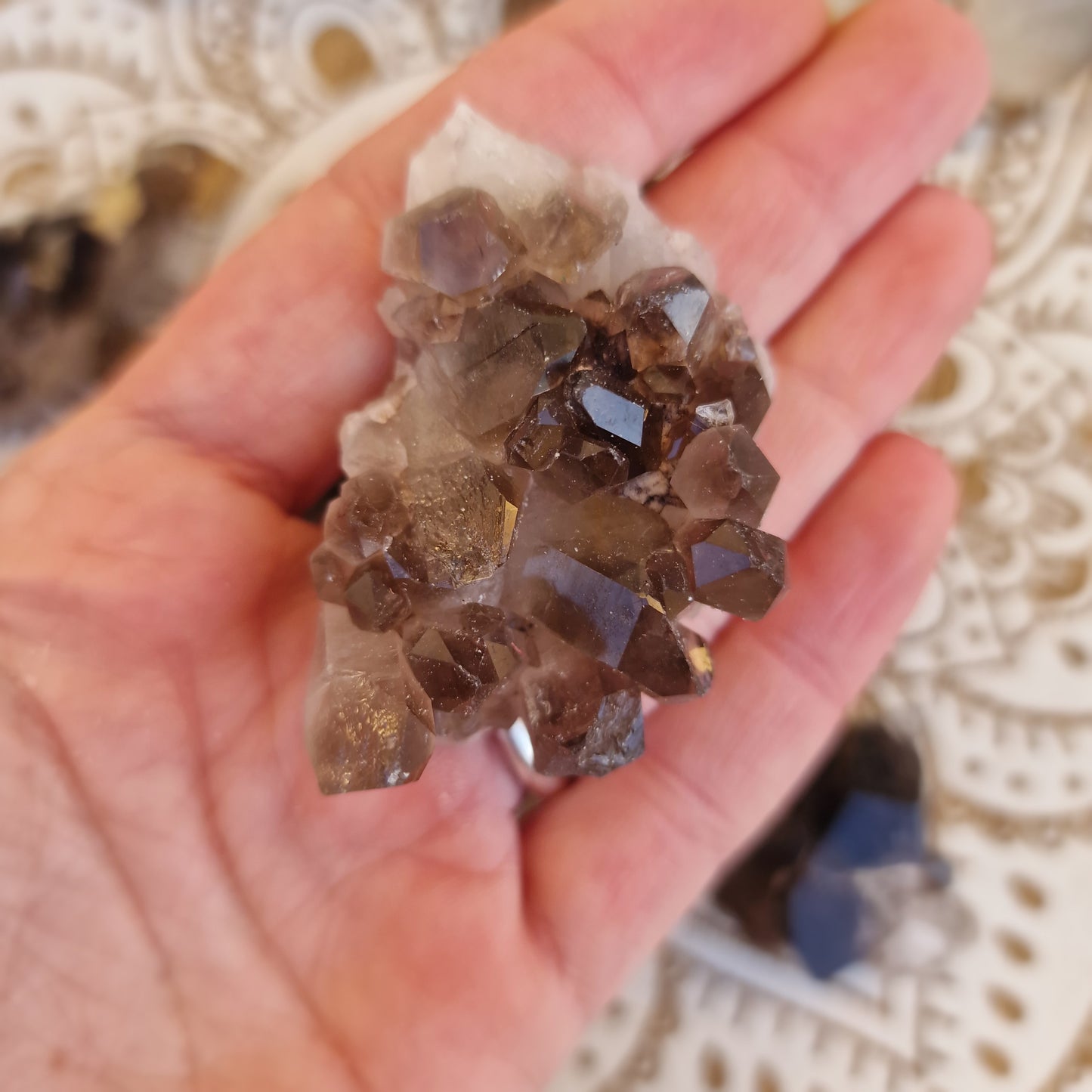 Drusa de Cuarzo Ahumado ~ Protección y Enraizamiento