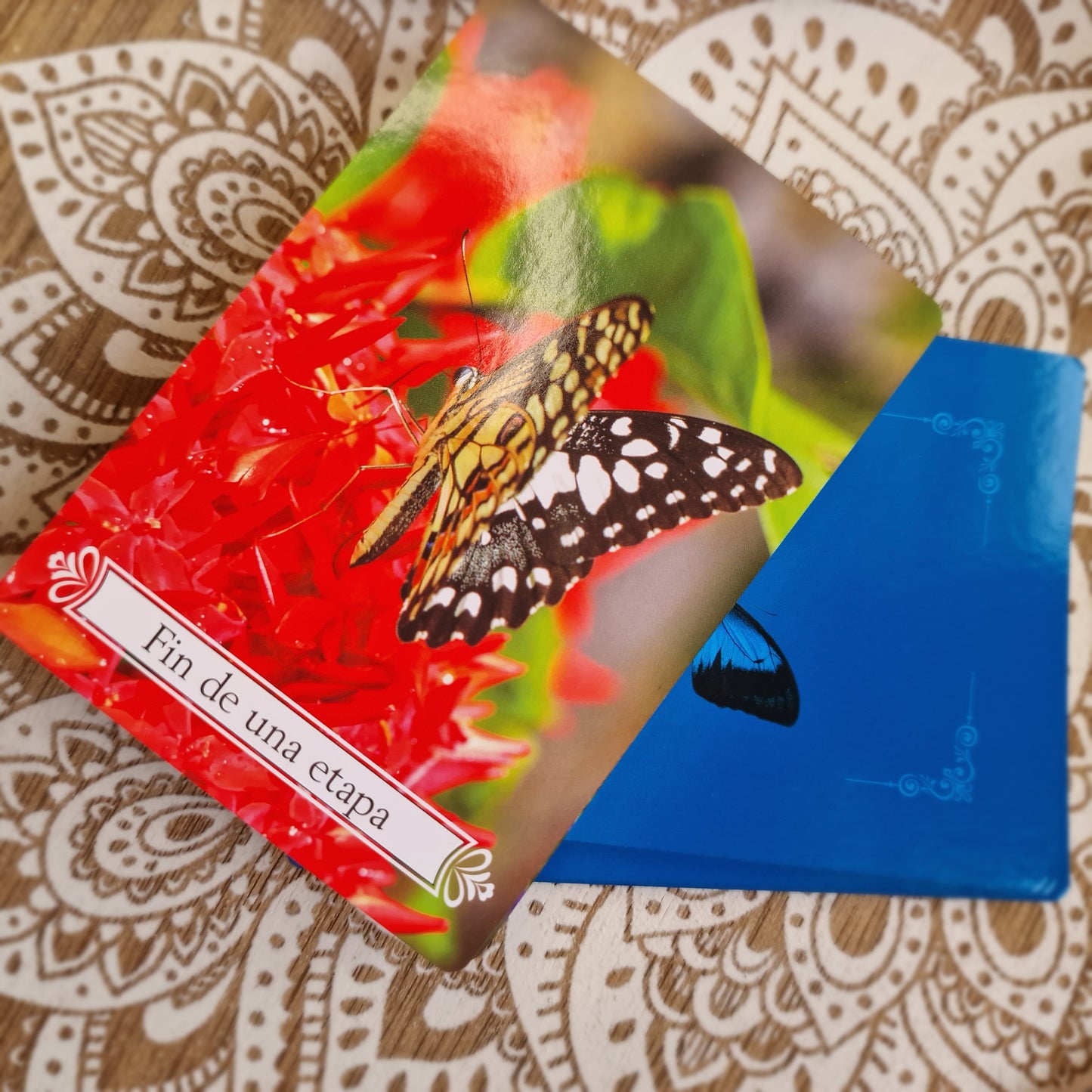 ✨ El Oráculo de la trasformación ~ Renueva tu energía y abraza el cambio