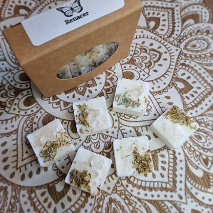 🦋 Renacer ~ Ceras Aromáticas Artesanales