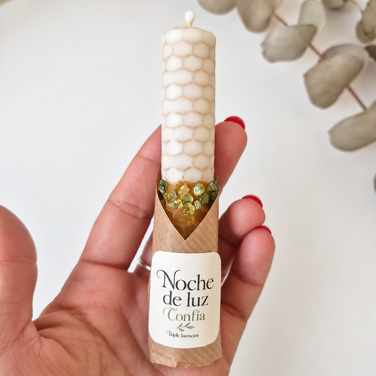 Pack Noche de Luz · 31 de octubre